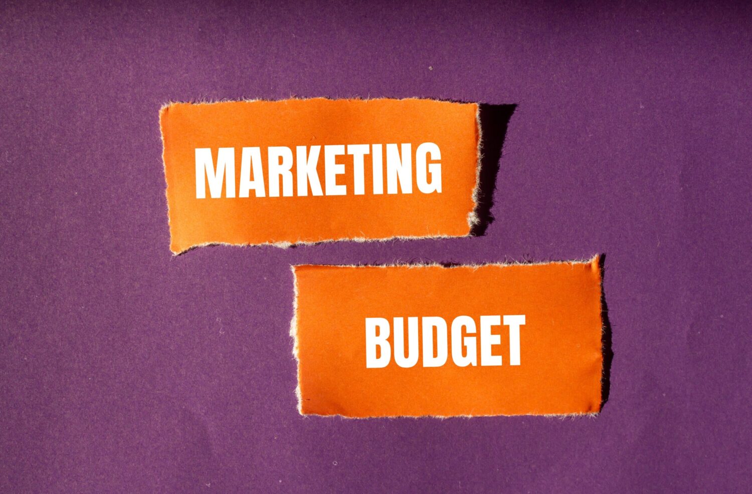 The words Marketing Budget on a page